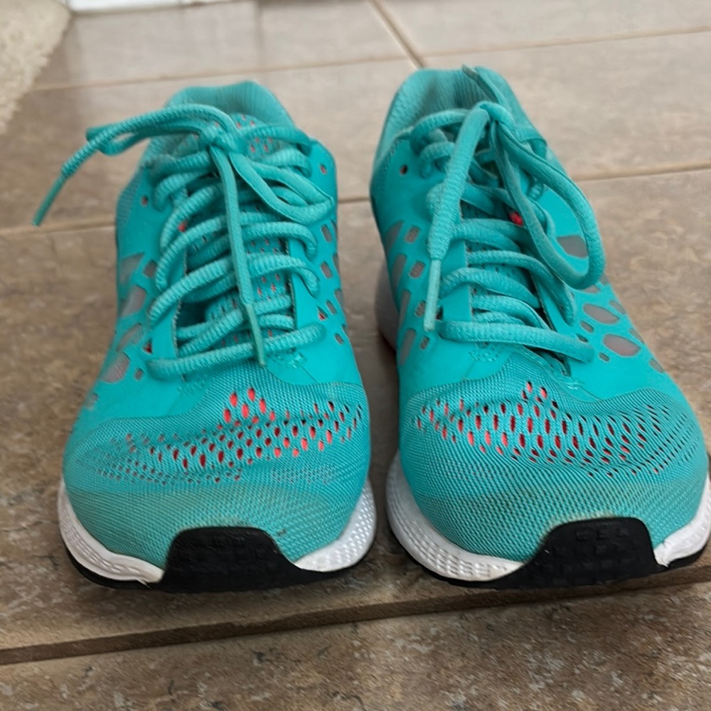 Nike Pegasus 31 Women's Running Shoes